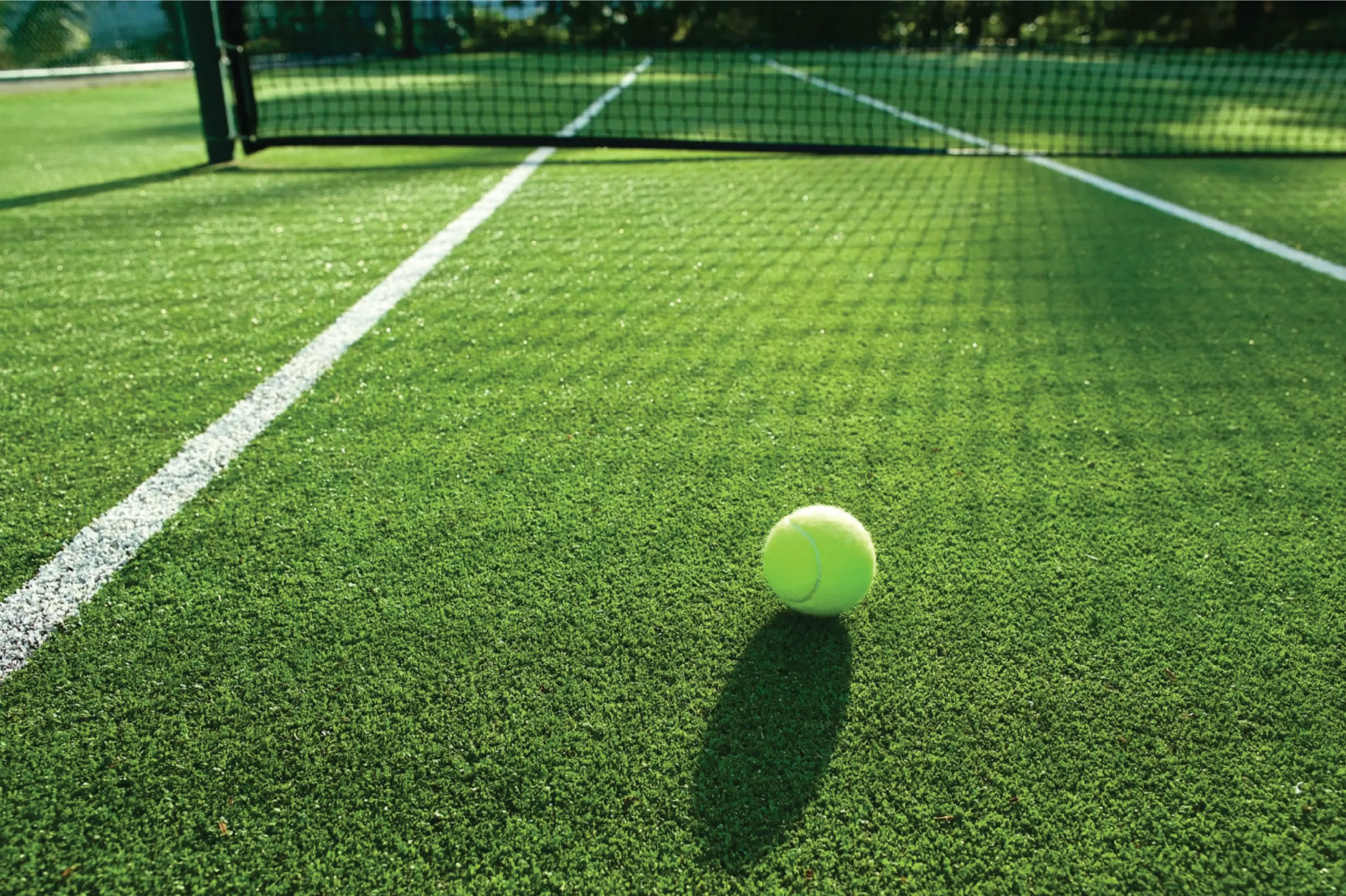 Artificial Grass