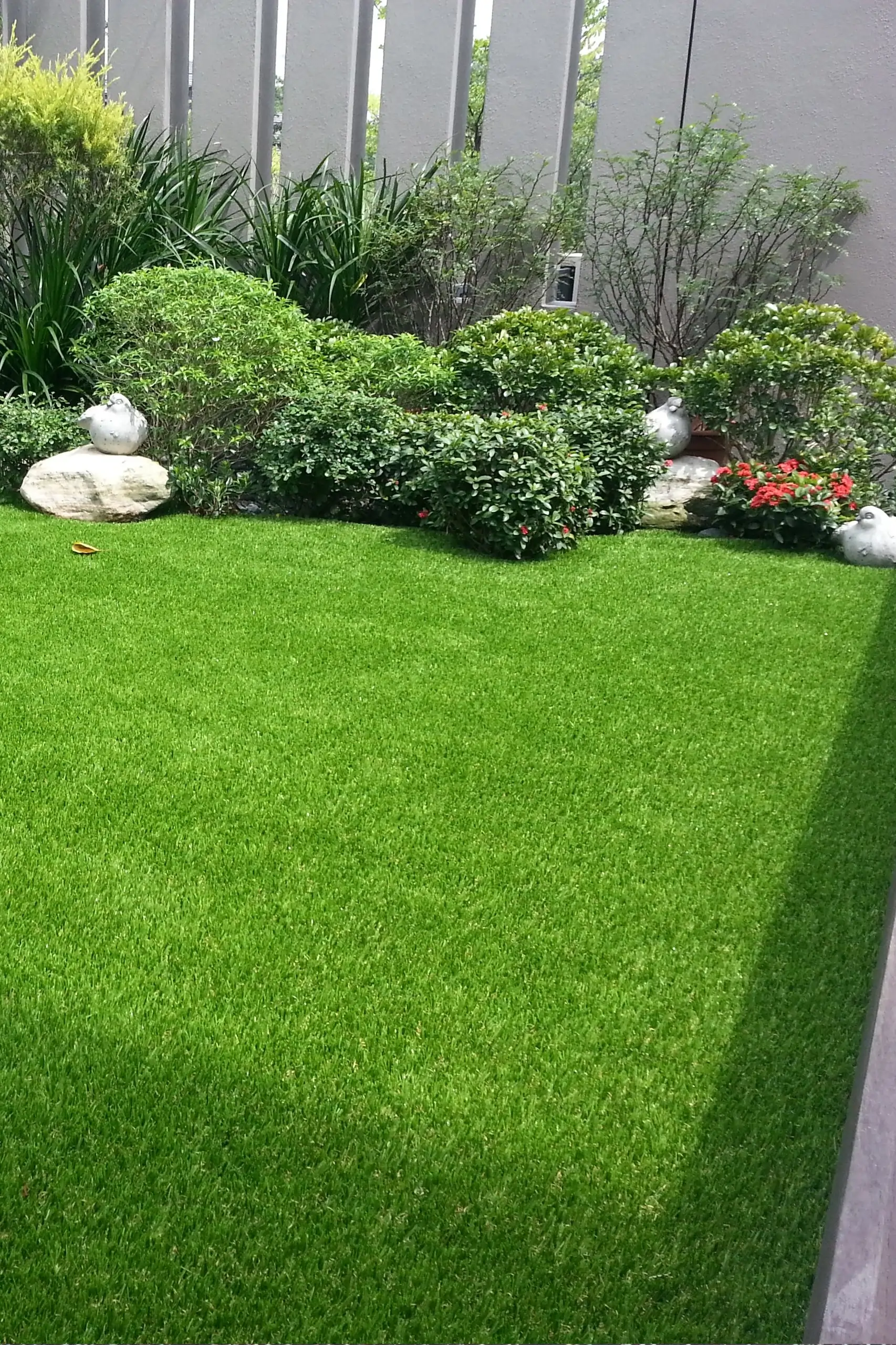 commercial grass